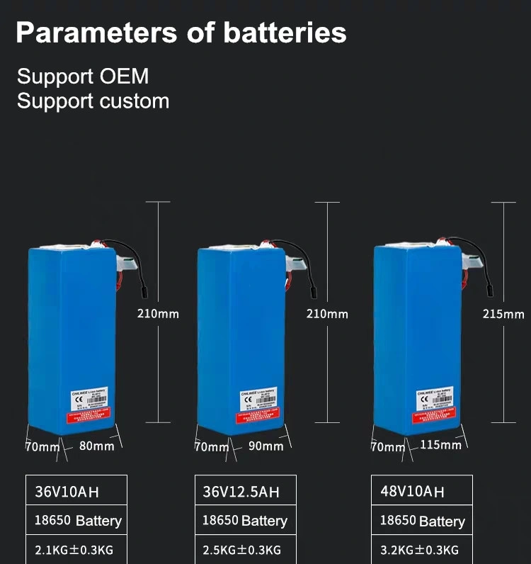 12V 24V 36V 48V 50V 60V 72V Lipo Battery 20ah 30ah 40ah 50ah 60ah LiFePO4 Battery Pack Lithium Ion Batteries for EV/Ess