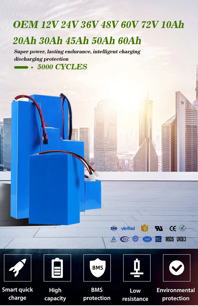 12V 24V 36V 48V 52V 10ah 20ah 12ah 60ah LiFePO4 Battery Lithium-Ion E-Bike/E-Scooter Battery