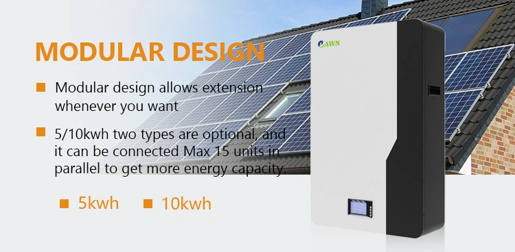 Deep Cycle 90% Dod 24V Lithium Ion 48V 100ah 200ah Inverter System Solar Energy Storage LiFePO4 Battery with 5 Years Warranty