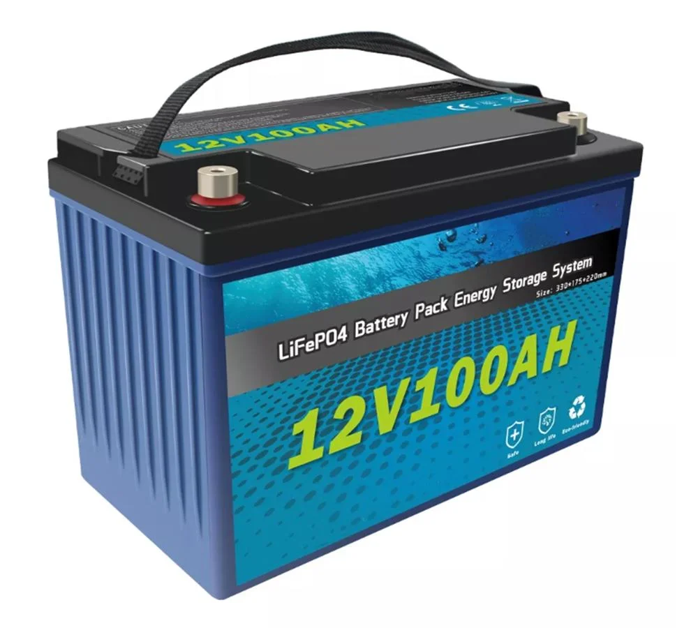 USA Hot Sale 12V 24V 20ah 40ah 60ah 100ah 200ah LiFePO4 Battery BMS with Charger for Home Solar System