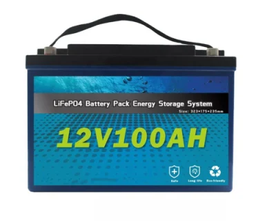 USA offre spéciale 12V 24V 20ah 40ah 60ah 100ah 200ah LiFePO4 batterie BMS avec chargeur pour système solaire domestique