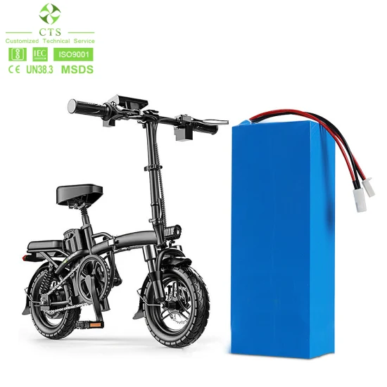 Batterie au lithium personnalisée Cts 12V 24V 48V 60V 72V 20ah 30ah 40ah LiFePO4 Batterie pour scooter électrique