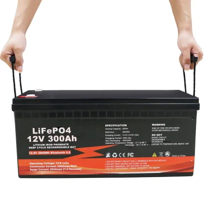 Système de stockage d'énergie Cellules LiFePO4 12V 24V 36V 48V Batteries Li Ion LFP 50ah 100ah 150ah 200ah 300ah 400ah 500ah Batterie au lithium solaire