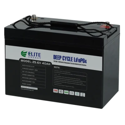 Batterie lithium-ion rechargeable portable Elite haute capacité 24 V 36 V 48 V 40 Ah Batteries LiFePO4 Li-ion pour vélo électrique/système de stockage d'énergie solaire