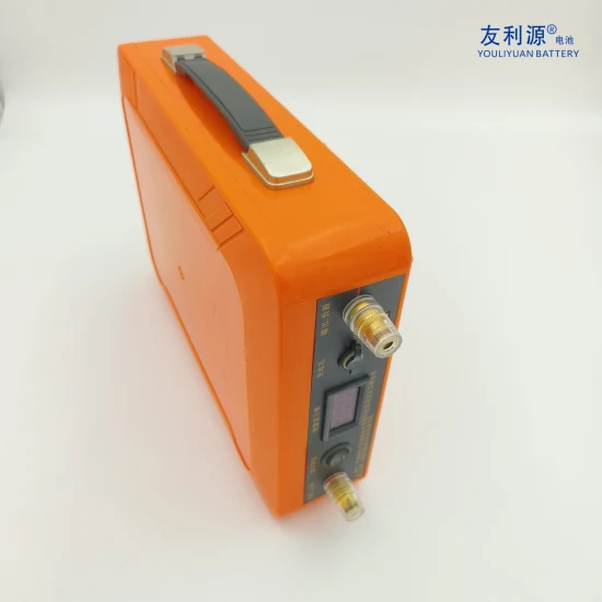 Batterie Portable LiFePO4 26650 8s6p 25.6V 21ah EV UPS Home Appliance Lithium Fer Phosphate Batterie Pack